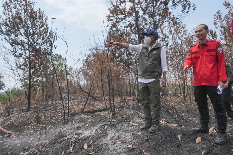 Menhut optimalkan modifikasi cuaca di daerah yang ada bibit awan hujan