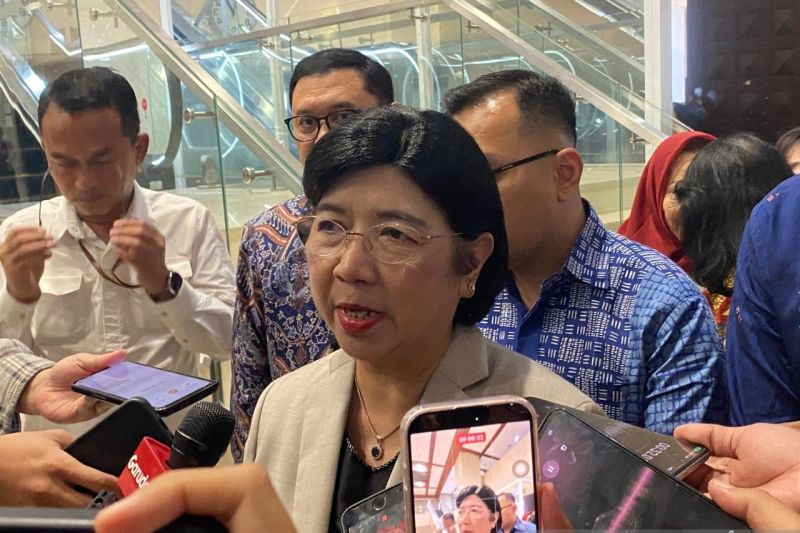 Destry: Sinergi dengan pemerintah bukan berarti BI hilang independensi