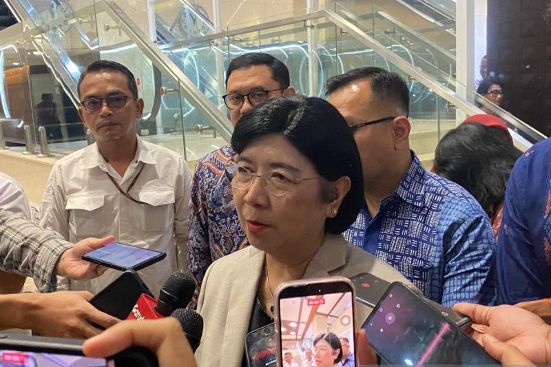 Destry komitmen perkuat monitoring LDD guna cegah under-invoicing