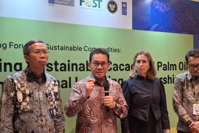 Kemendag siapkan proyek percontohan untuk model pemenuhan EUDR