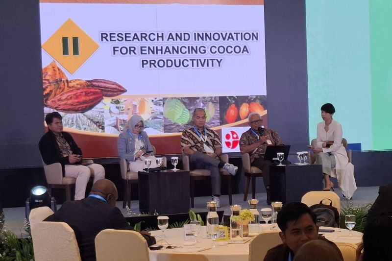BRIN kembangkan varietas unggul perkuat produktivitas kakao nasional