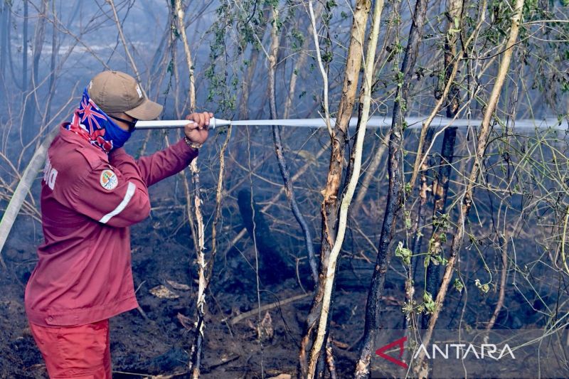 BMKG deteksi 1.079 titik panas di Kalimantan Selatan pada Kamis