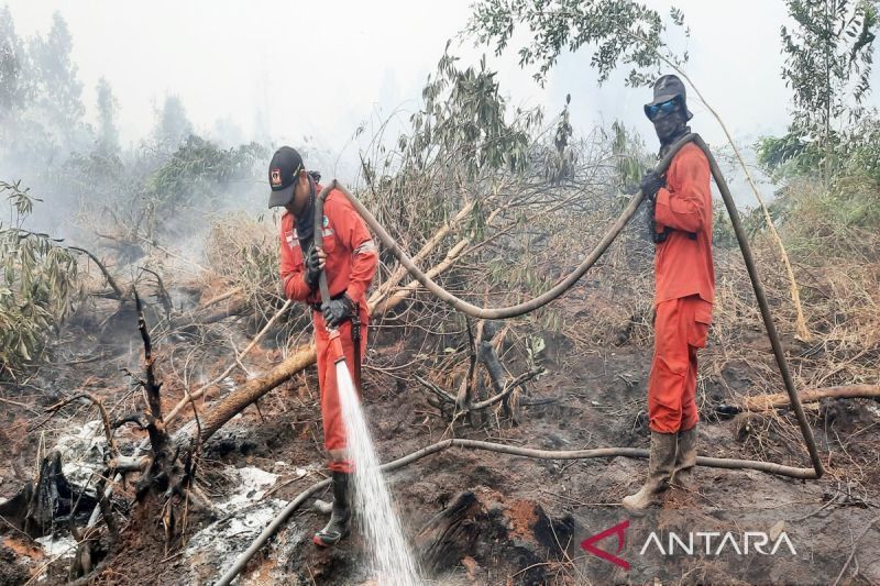 Kemenhut buka kanal pengaduan karhutla tingkatkan partisipasi publik