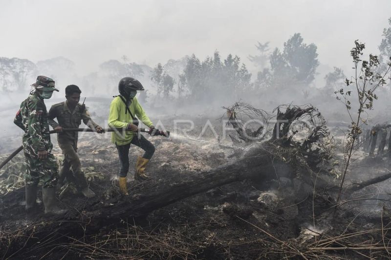 Pemadaman karhutla di Tanjung Jabung Timur