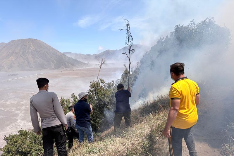 Petugas bergerak cepat kendaIikan karhutla Bromo di Blok Seruni
