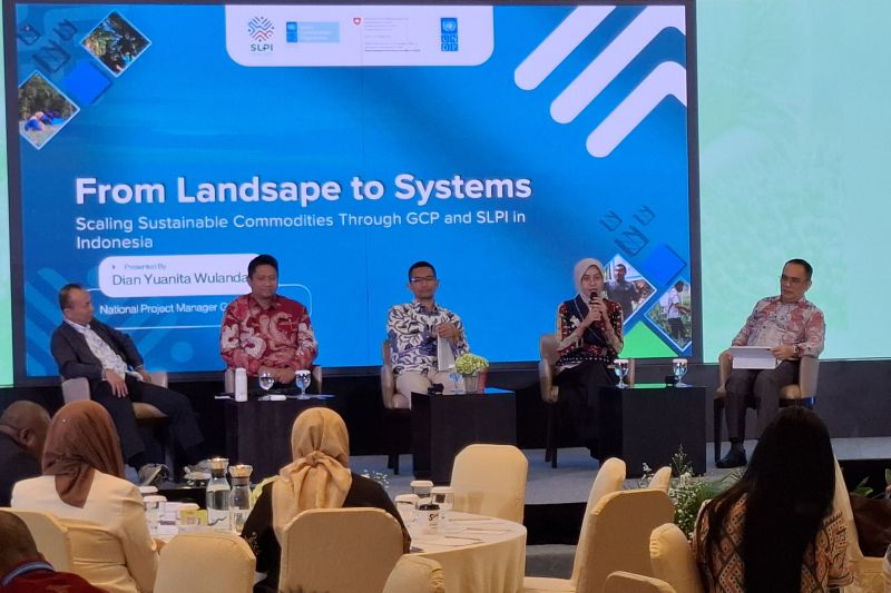 UNDP: Kebijakan lanjutan RAN-KSB perlu perkuat kelembagaan