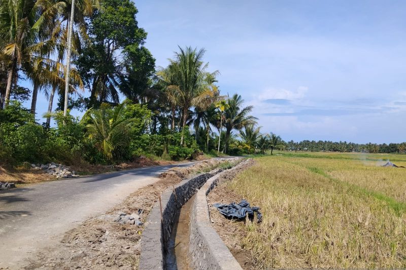Pariaman targetkan perbaikan irigasi pascabencana rampung September