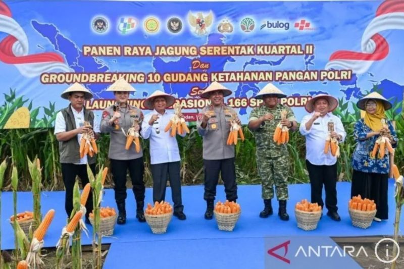 Sumut targetkan lahan pangan berbasis irigasi sampai 41.000 hektare