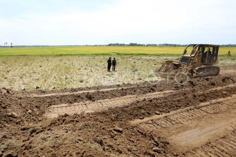 Distanbun optimis 40.852 hektare sawah rusak di Aceh pulih tahun ini