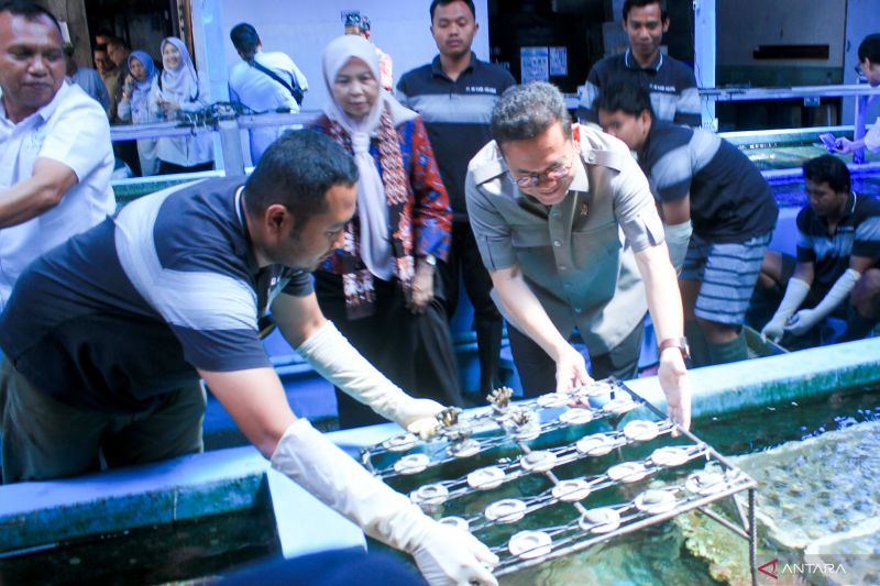 Kemendag fasilitasi UMKM ekspor produk lewat "businees matching"