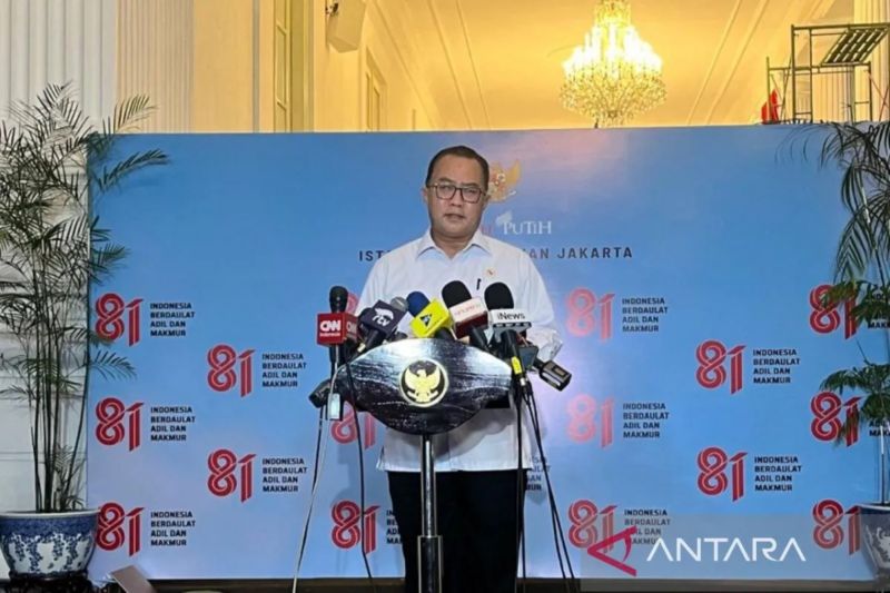 BRIN kaji pemanfaatan singkong untuk penanganan karhutla