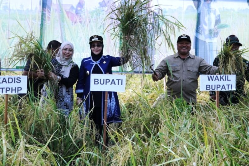 Berau perkuat ketahanan pangan lewat Perda