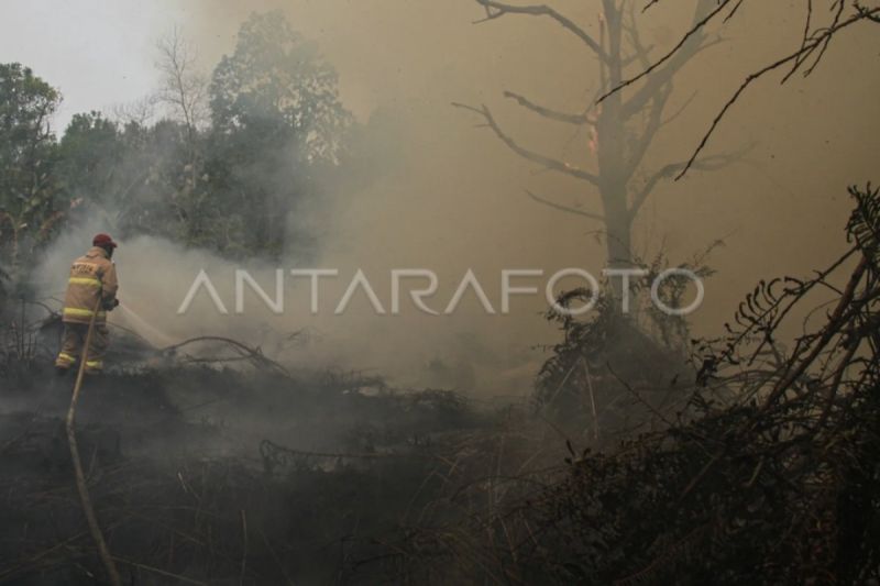 Polda Kalteng tambah 48 personel hadapi ancaman karhutla