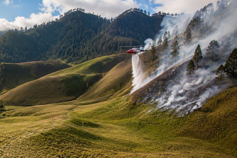 Petugas berjibaku kendalikan karhutla Gunung Semeru di tujuh titik
