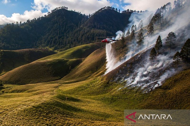 Petugas berjibaku kendalikan karhutla Gunung Semeru di tujuh titik
