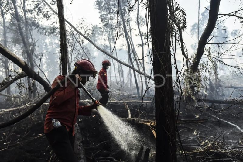 Pemadaman karhutla di Hutan Lindung Gambut Londerang