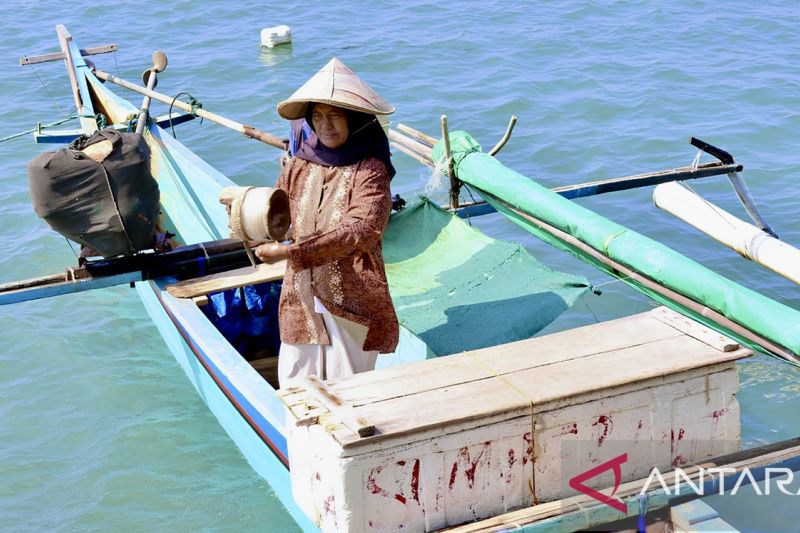 Hidup nelayan perempuan Bajo di tengah krisis iklim