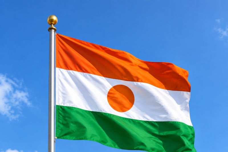 Puluhan prajurit di Niger ditahan usai gagal kudeta