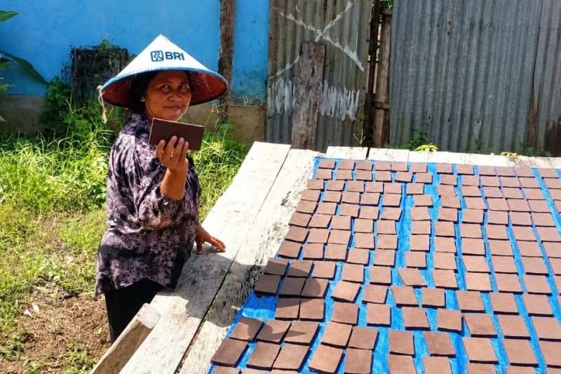 Bersama BRI, Usaha Mikro Rawat Resep Terasi Kumbe Asal Merauke Raih Pasar Lebih Luas