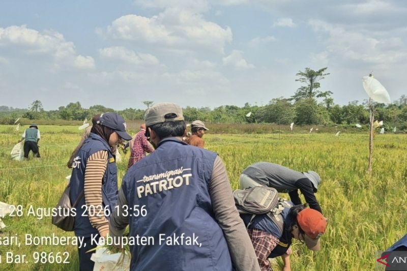 BPP Serubur Kementan dan Unpad kembangkan inovasi pertanian di Fakfak
