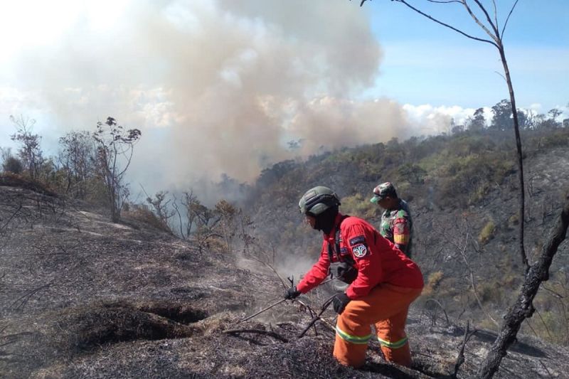 Luas karhutla di kawasan lereng Gunung Semeru capai 600 hektare
