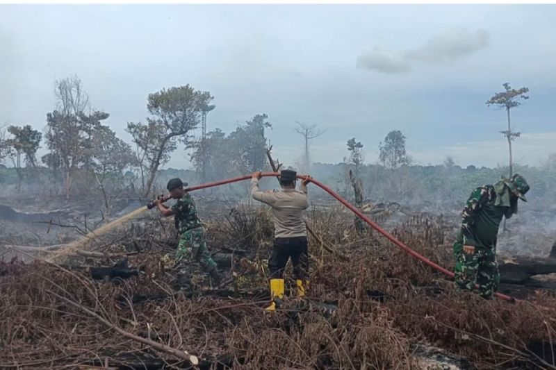 Tim gabungan berupaya padamkan karhutla lahan gambut di Aceh Selatan