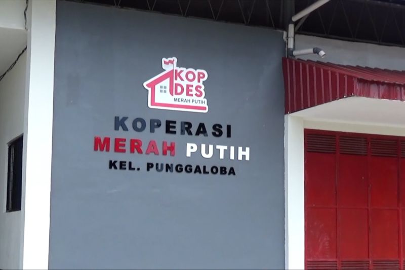 75-gerai-koperasi-merah-putih-di-sulawesi-tenggara-telah-beroperasi