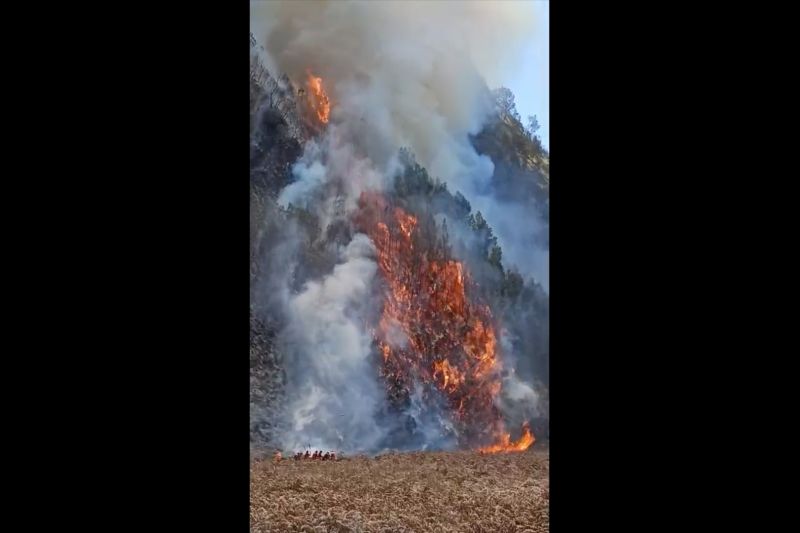Khofifah sebut titip api kebakaran Gunung Bromo mulai terlokalisir