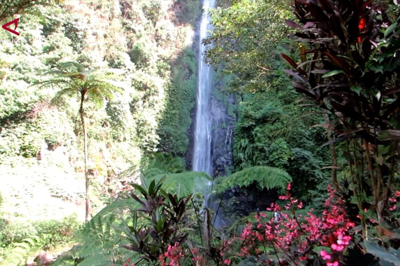 Air Terjun Tancak jadi destinasi favorit pendaki pemula di Jember