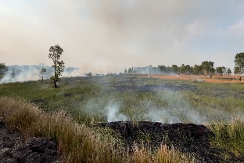 Api terus meluas, Kalsel perkuat penanganan karhutla