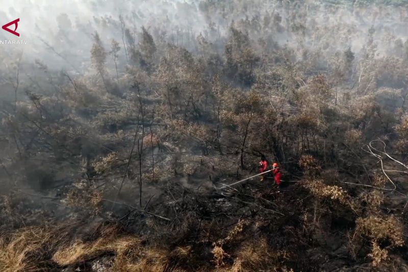 BNPB: Titik panas karhutla di Kalimantan meningkat