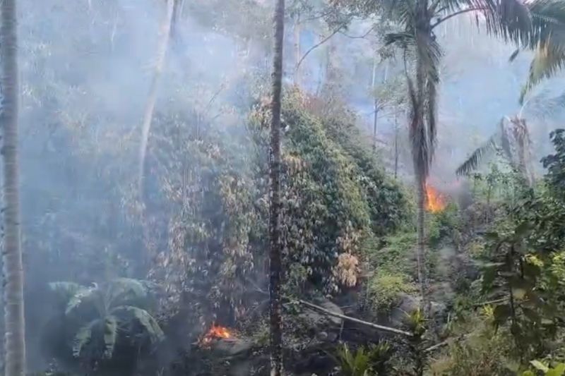 Kemarau meluas di Sulteng, BMKG ingatkan risiko karhutla