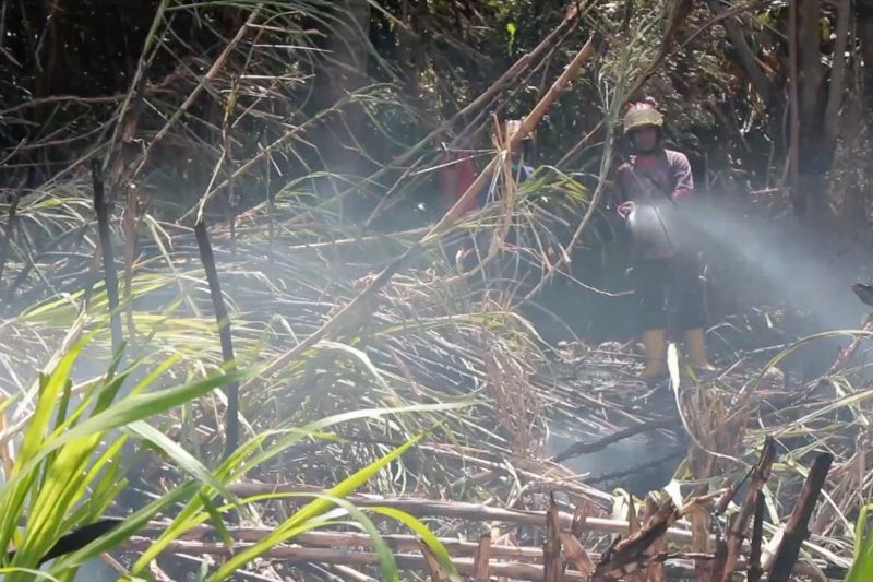 Kualitas udara menurun, warga Sumbar diimbau pakai masker