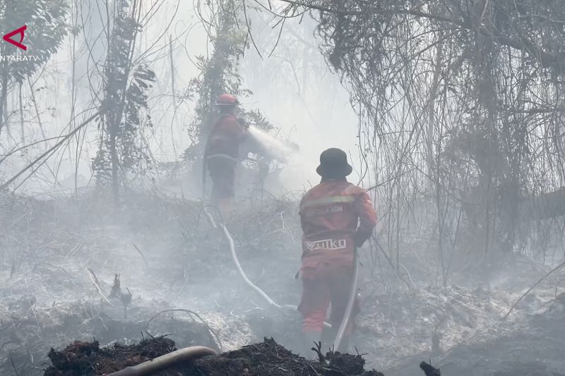 Karhutla dekati permukiman, BPBD Riau tambah personel dan helikopter