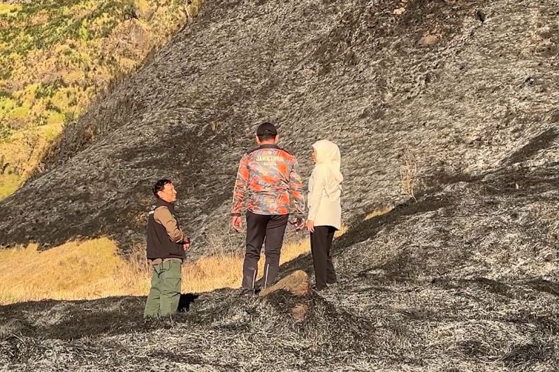 Khofifah tinjau kebakaran Bromo, area terbakar meluas capai 176 hektar