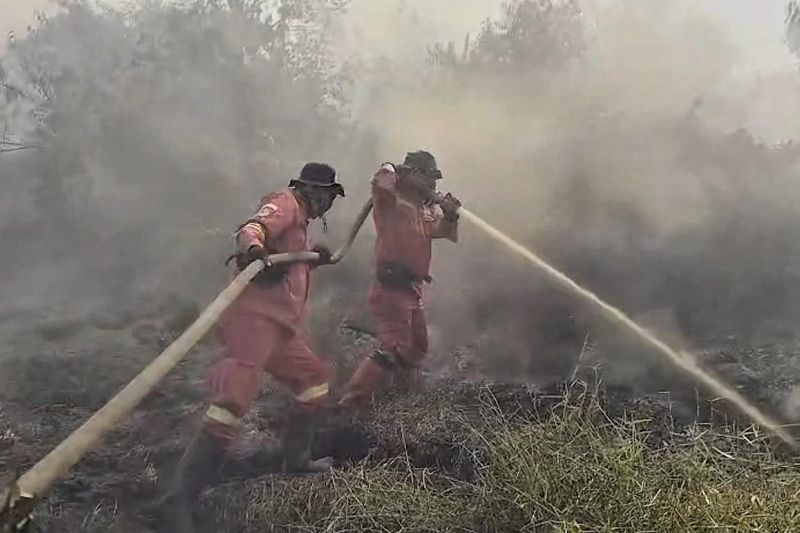 Karhutla 900 hektare di Kerumutan berhasil dipadamkan