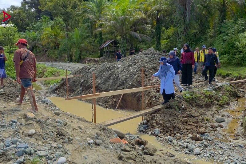 Pemulihan pertanian pascabencana di Aceh capai 49 persen