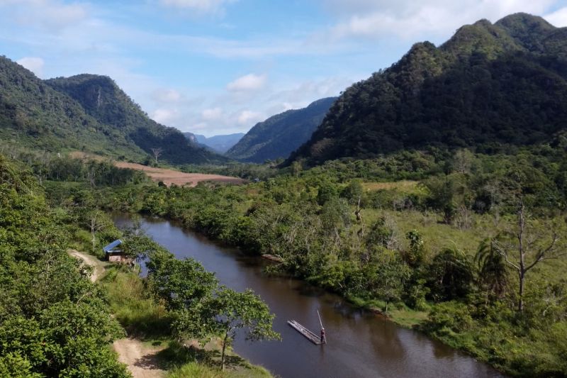 Sumbar optimalkan peningkatan nilai ekonomi perhutanan sosial