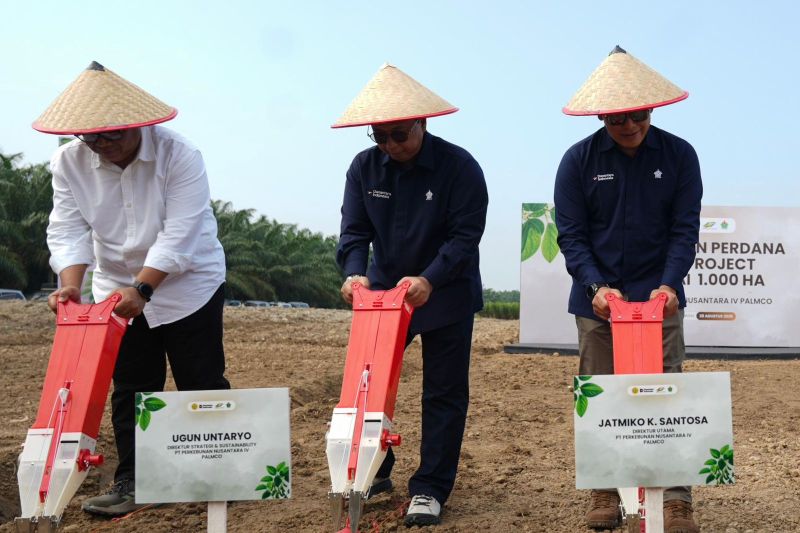 PTPN IV PalmCo mulai proyek percontohan kedelai 1.000 hektare