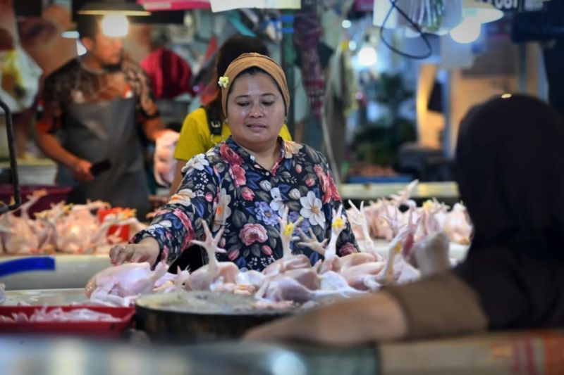 BI dan pemerintah perkuat strategi pengendalian inflasi pangan