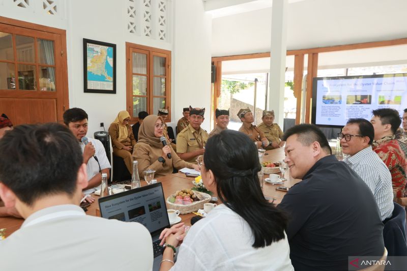 Investor asal China tertarik investasi budi daya tiram di Banyuwangi