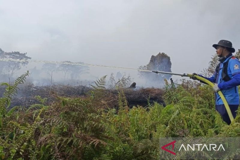 BPBD: Karhutla di Aceh Barat meluas capai 6,5 hektare pada 3 kecamatan