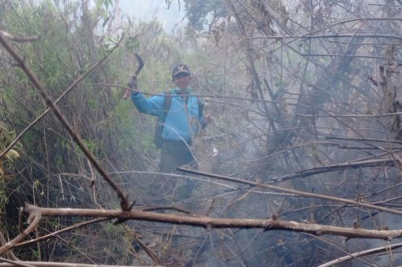 Perhutani: Kebakaran di kawasan Gunung Butak berhasil dipadamkan