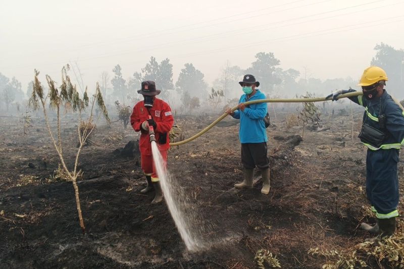 Kebakaran lahan gambut di Singkawang capai 37,27 hektare