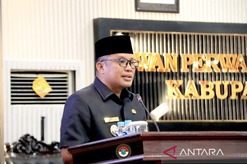 Belitung sambut positif Raperda Pelestarian Batu Satam