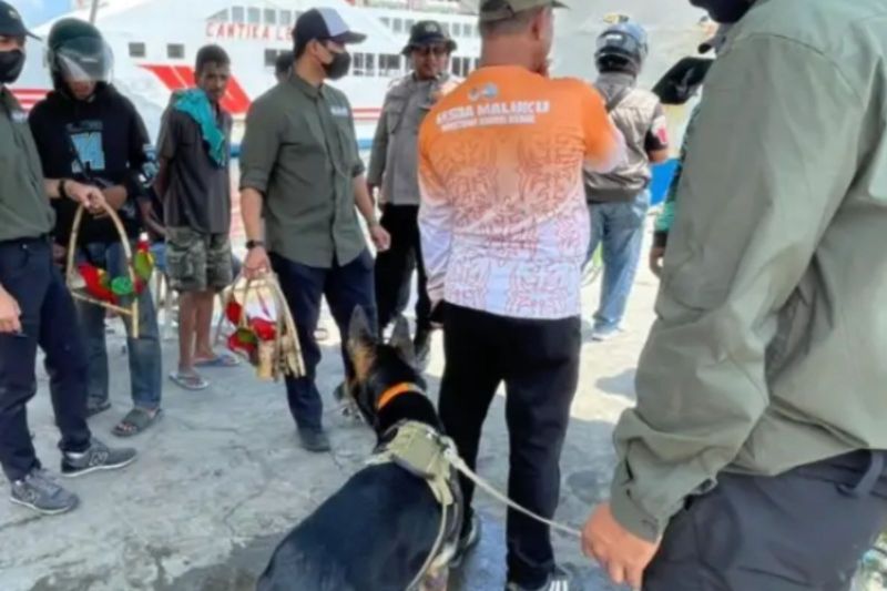BKSDA Maluku amankan lima Burung Kasturi Ternate dalam uji coba WDD