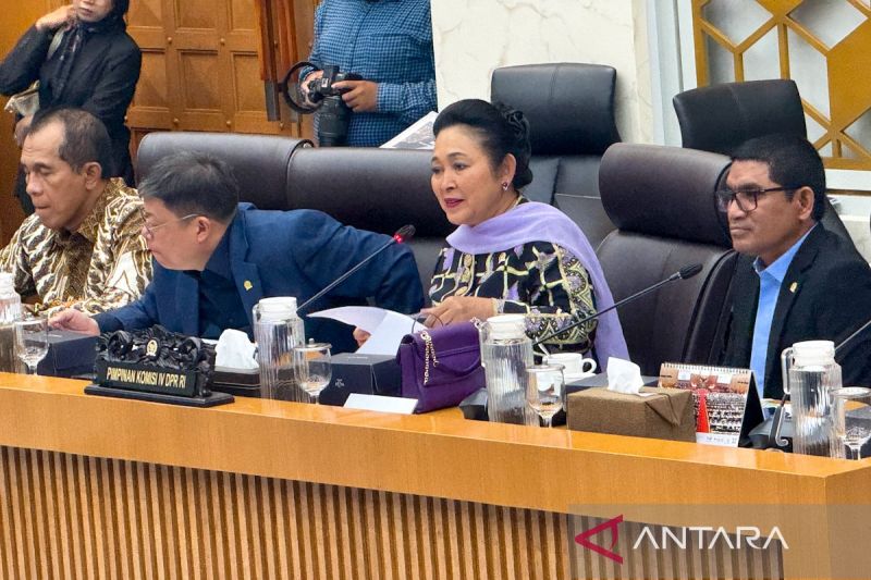 Komisi IV DPR apresiasi keberhasilan swasembada 8 komoditas pangan
