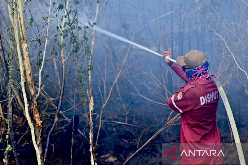 BMKG deteksi 1.299 titik panas di Kalimantan Selatan pada Rabu