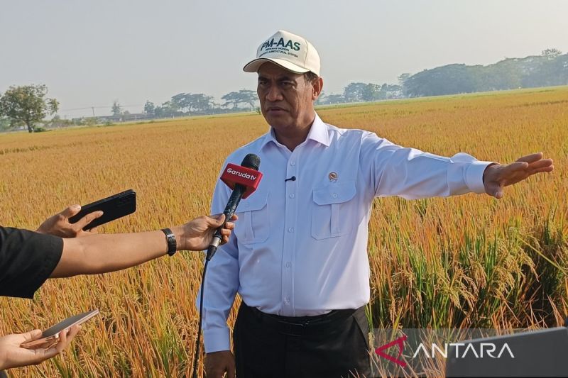 Mentan: Pertanian modern tingkatkan produksi 11-12 ton per hektare