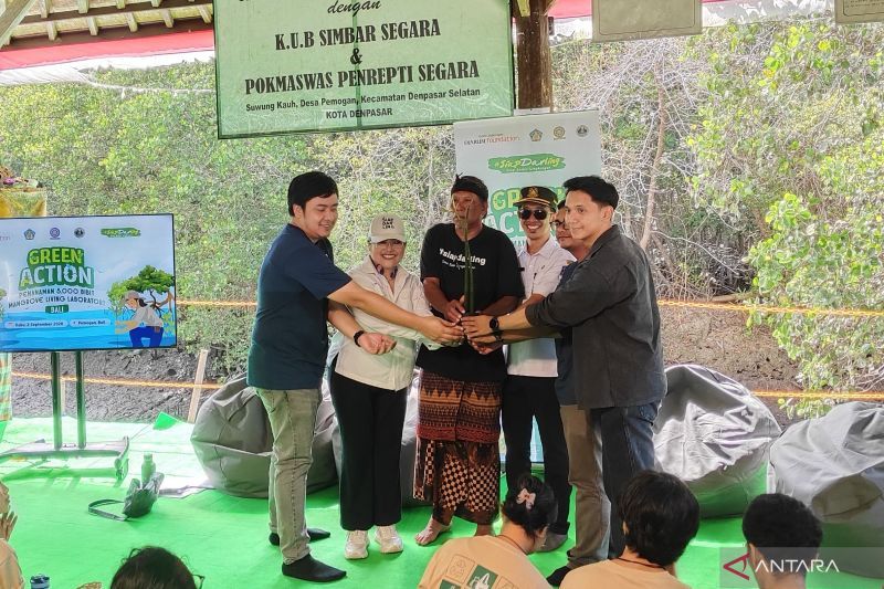 Jaga ekosistem pesisir, BLDF tanam 5.000 bibit mangrove di Bali
